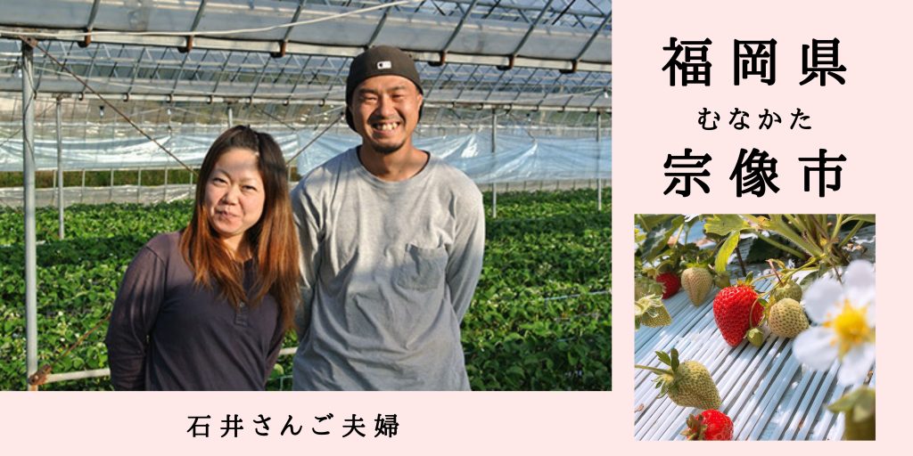 福岡県宗像市いちご農家花福苺