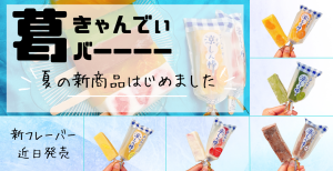 溶けない葛アイス